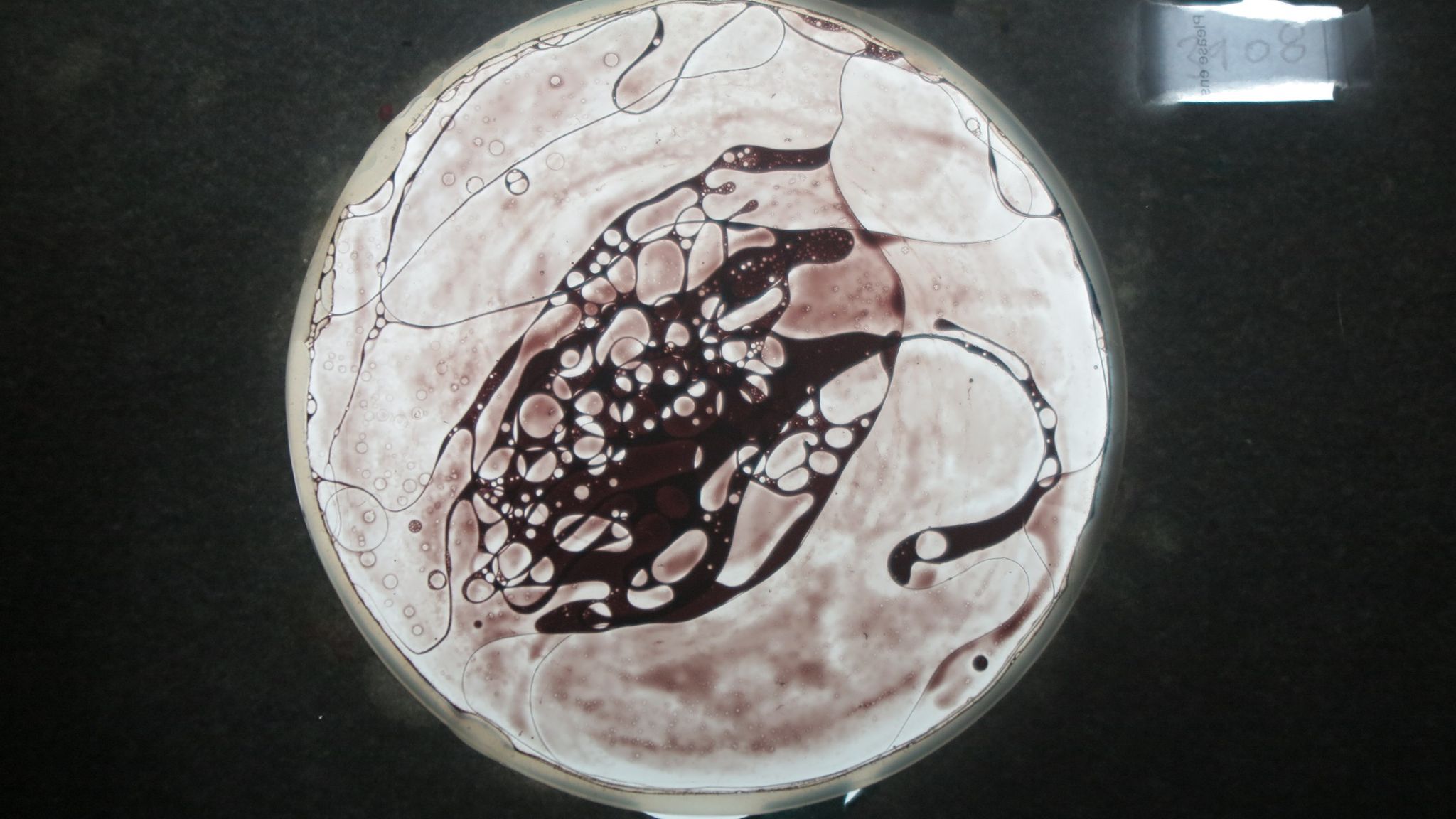 BV3906 bubble vision oil wheel